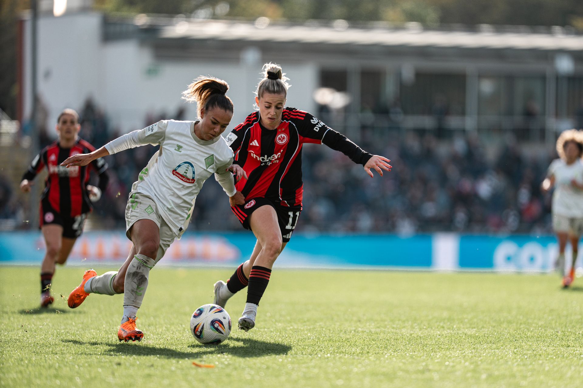 斯特纳德与来自法兰克福的吕尔森决斗