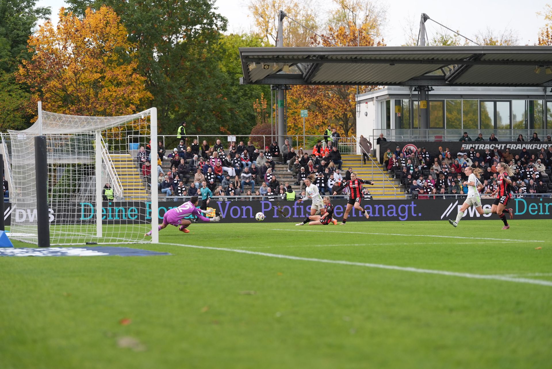 斯特纳德在她的终点，阿尔滕堡看到球。